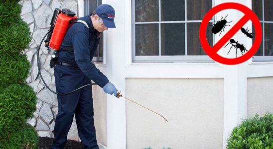 Otlukbeli Sivrisinek İlaçlama böcek ilaçlama ve haşere kontrolü — ilaclama-tr.com